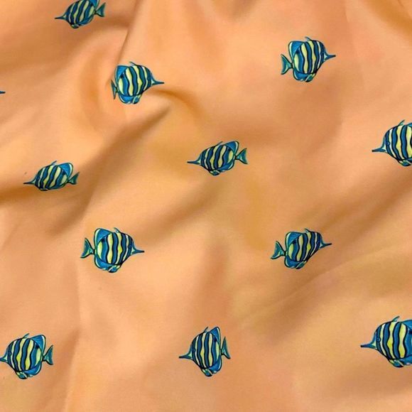 ☀️☀️☀️ Men’s Swim Trunks Angelfish - Picture 2 of 2